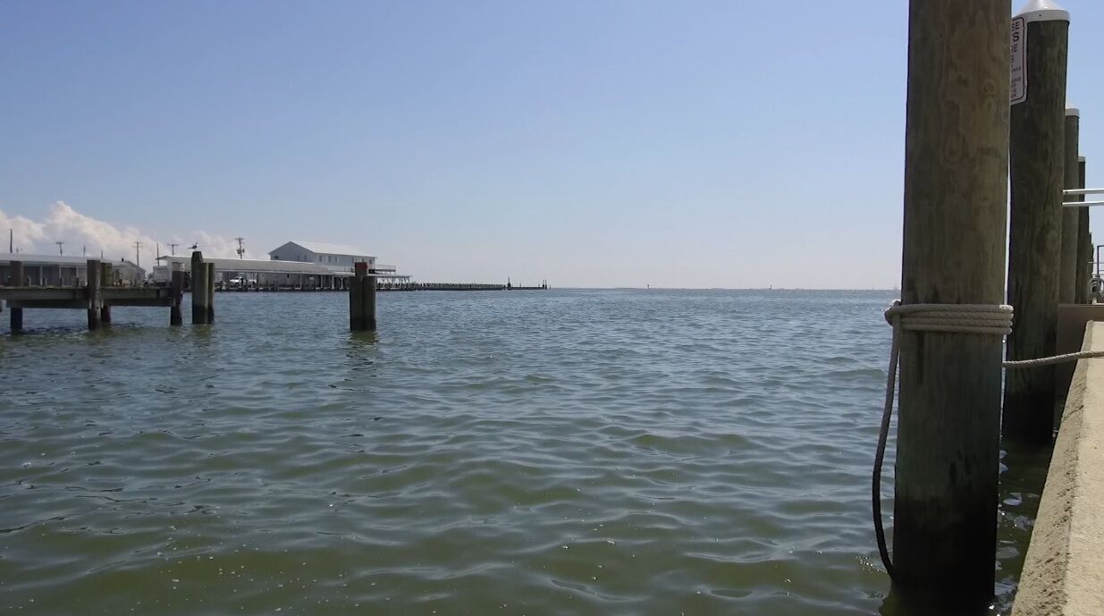 Crisfield Docks